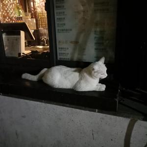 外国操逼记录片
